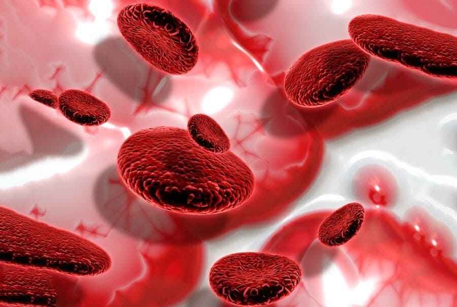 Globulos rojos - Especialista en várices - Dr. Carlos Acosta Uriegas - Vein Clinic